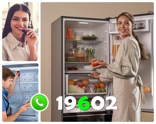 صيانة الاسكا بالمنصورة